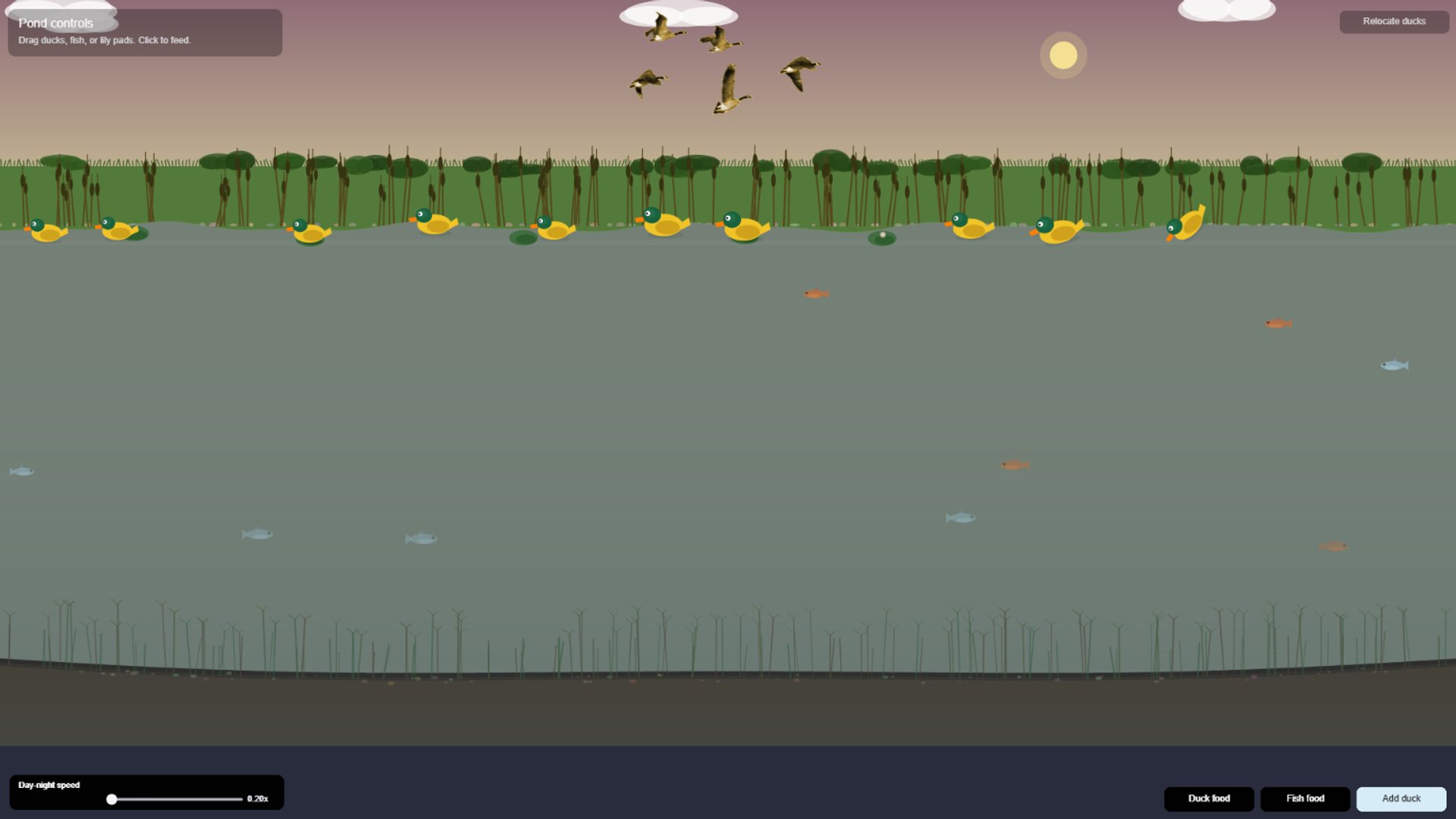 Pond 'Simulator'